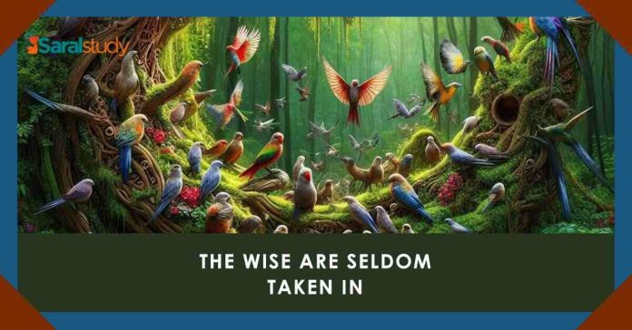 The Wise are Seldom Taken In