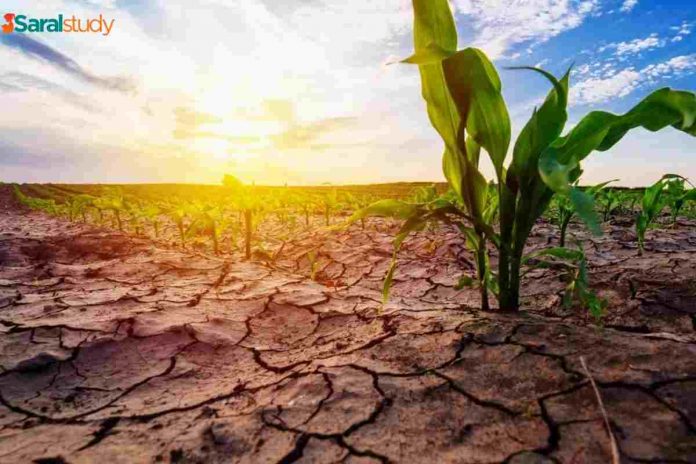 Top 10 Reasons for Droughts in India