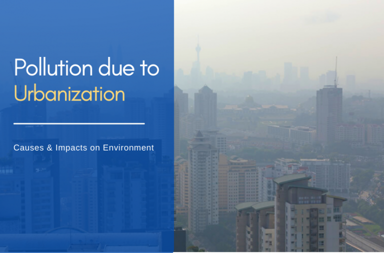 Urban Pollution - Causes & Impacts on Environment