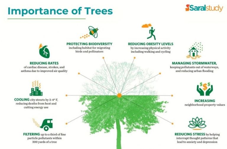 Importance of Trees