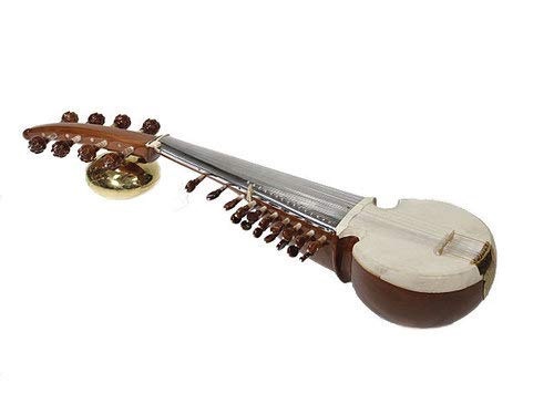 SAROD - Musical Instruments