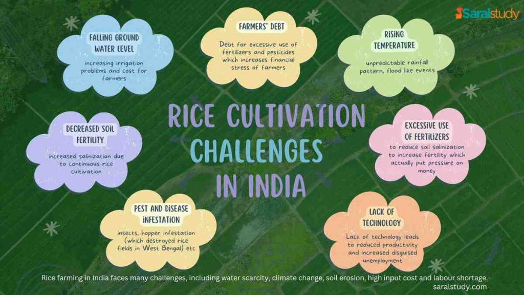 Rice Farming Challneges Mindmap